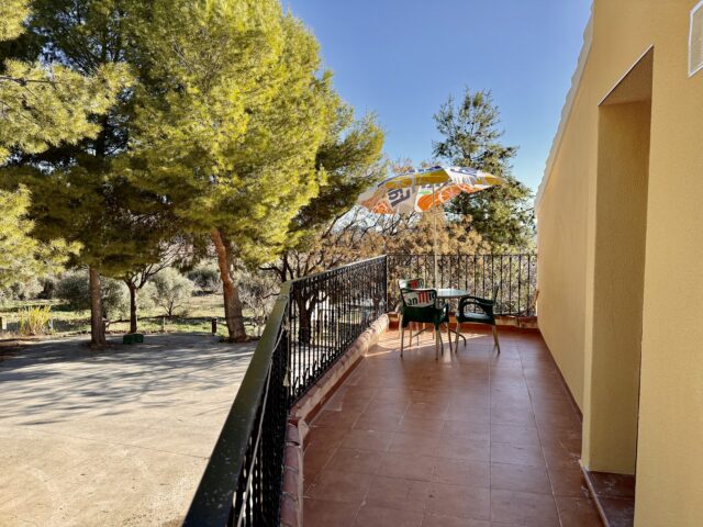 Beige 5 - 2026 - Terraza